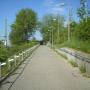 Frank Schaefer Photo 42