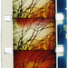 Christopher Beck Photo 42