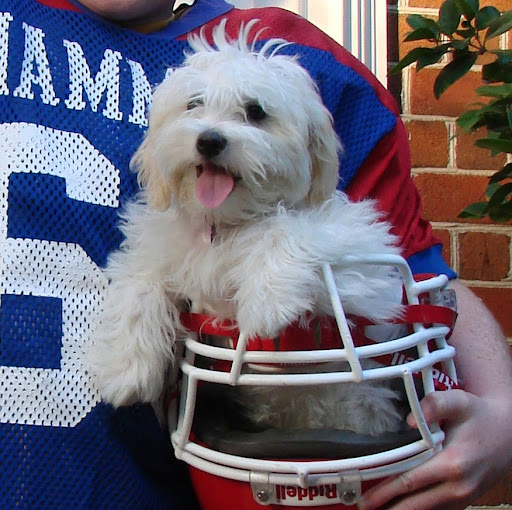 Julie Latham Photo 24