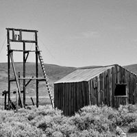 Michael Piatt Photo 13