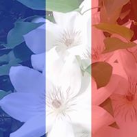 Janice Chupp Photo 2