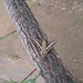 Sandy Hodge Photo 25
