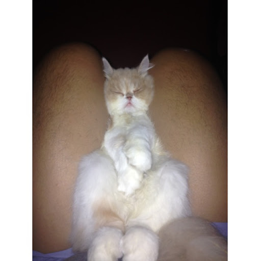 Ferdinand Villanueva Photo 14