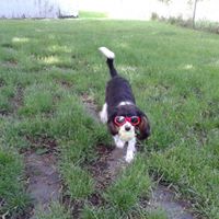 Nancy Humphrey Photo 10