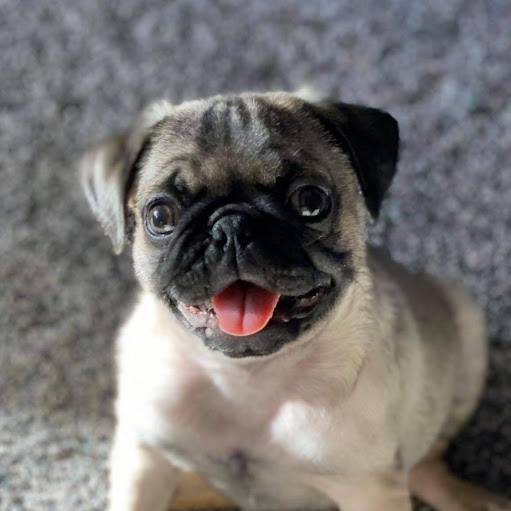 Scott Poole Photo 37