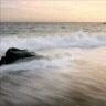 Debra Stephenson Photo 38