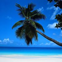 Susan Belanger Photo 21