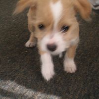 Lorena Stanley Photo 4