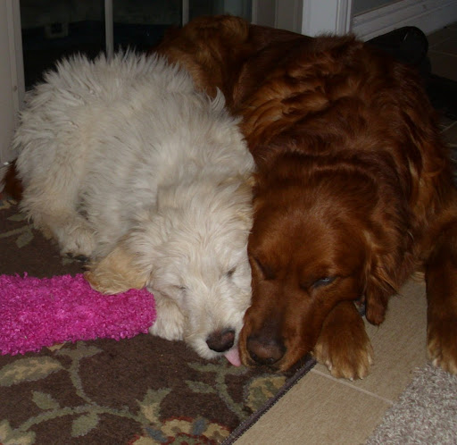 Jill Rowland Photo 1