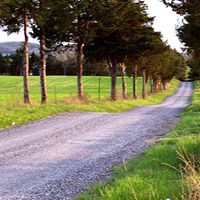 Deborah Helmick Photo 11