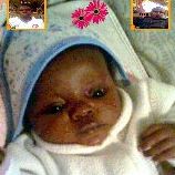 Joseph Mark Photo 33