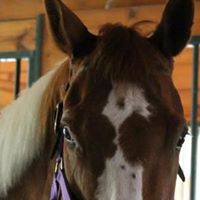 Helen Bennett Photo 16