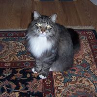 Pamela Knight Photo 20