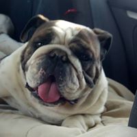 Annette Mcfarland Photo 11