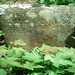 Belinda Woods Photo 12