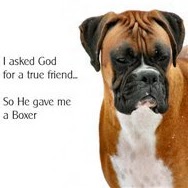 Christina Guinn Photo 2