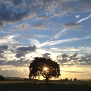 Mark Rowan Photo 24