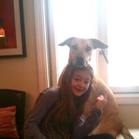 Amy Mclellan Photo 15