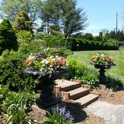 Debbie Wheeler Photo 11