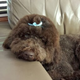 Annette Cameron Photo 15