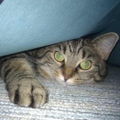 David Carver Photo 11