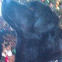 Marilyn Marvin Photo 17