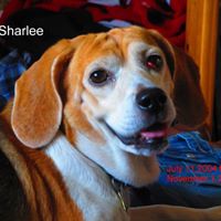 Kendall Cook Photo 23