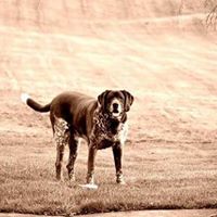 Christine Mattice Photo 5