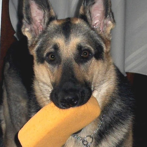 Joanne Beck Photo 18