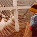 Jason Winters Photo 28