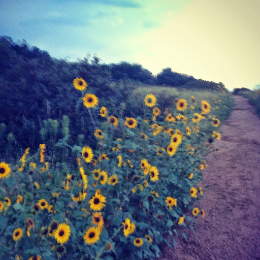 Cassie Olson Photo 10