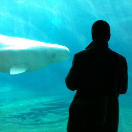 Thomas Clayton Photo 29 Thomas Clayton Photo 29