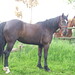Christina Lentz Photo 11