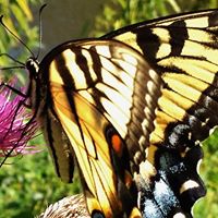 Sarah Sommers Photo 10