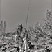 Lynn Scott Photo 27