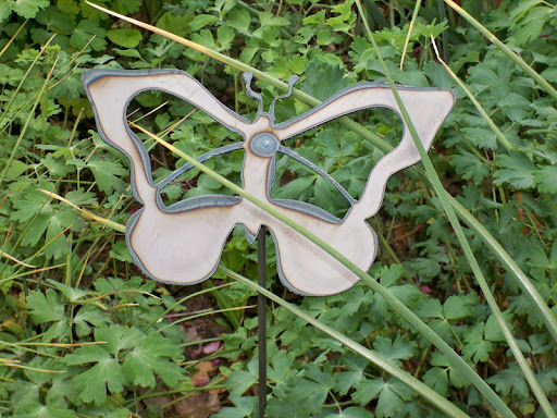 Robin Anderson Photo 14