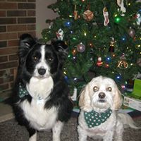Nancy Buckner Photo 32