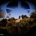 Juan Montes Photo 25