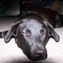 Carl Hanson Photo 5