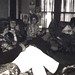 Vicki Boyd Photo 13