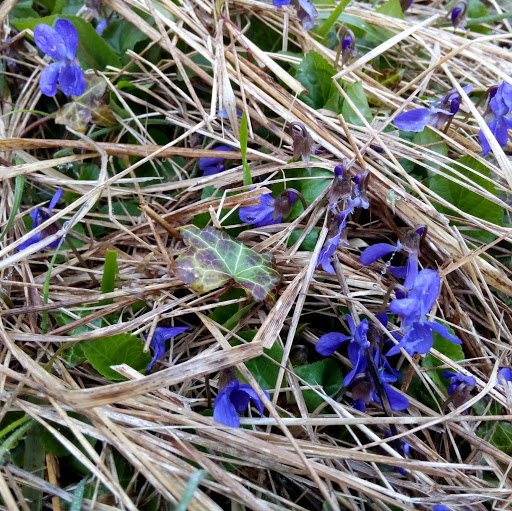 Christopher Monahan Photo 16