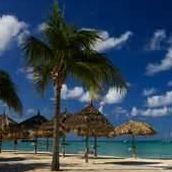 Phyllis Scherer Photo 7