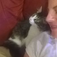 Katherine Bennett Photo 21