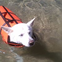 Darla Bennett Photo 14