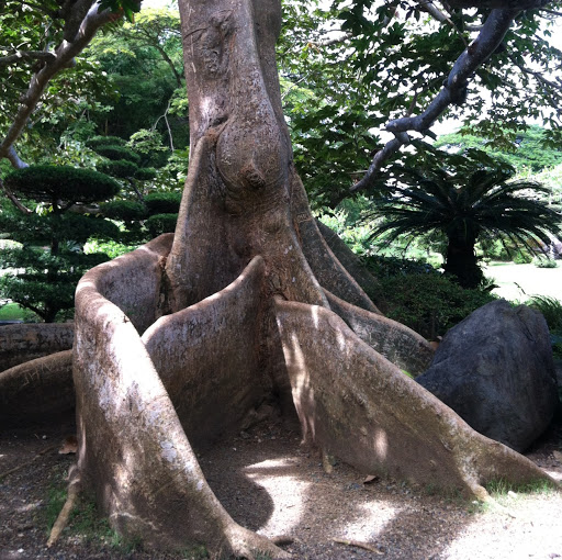 Rebecca Alvarez Photo 22