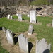 Diane Mcallister Photo 23