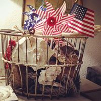 Barbara Shaw Photo 31