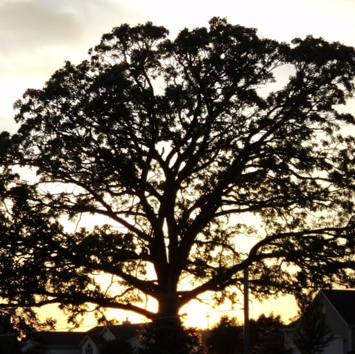 Timothy Krueger Photo 28