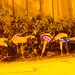 Jon Gardner Photo 10