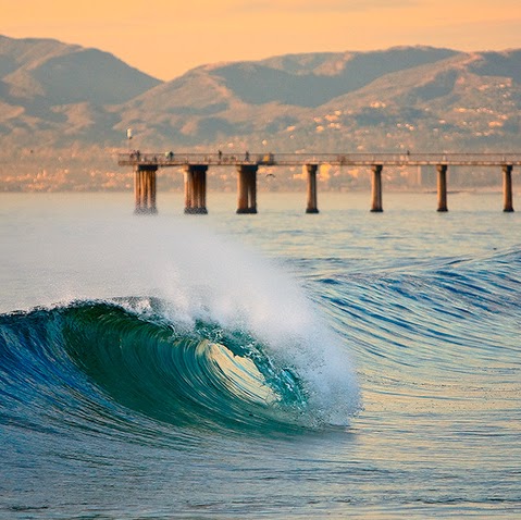 Shawn Dugan Photo 23